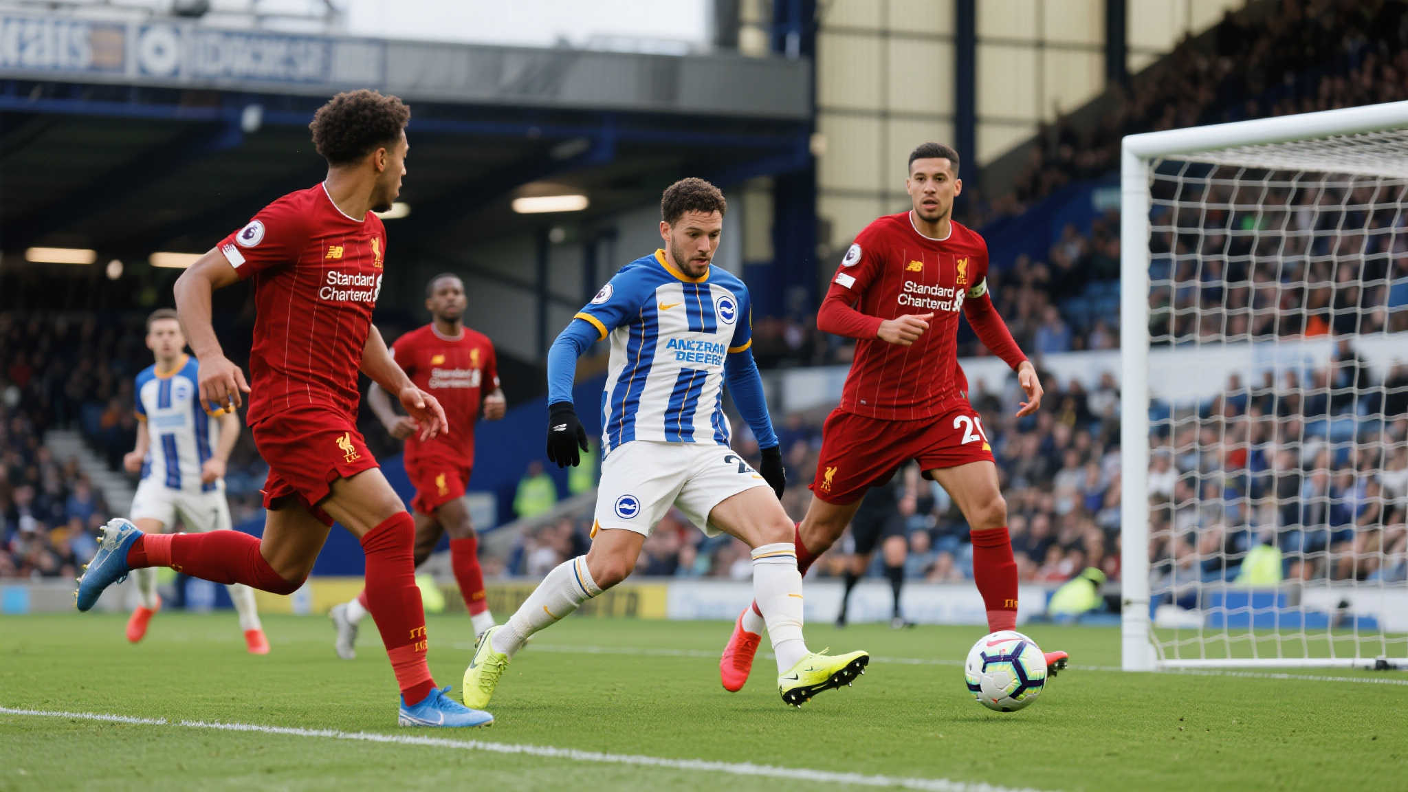 的伤病恢复 的伤病恢复