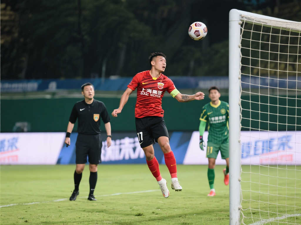 提供的高额 提供的高额